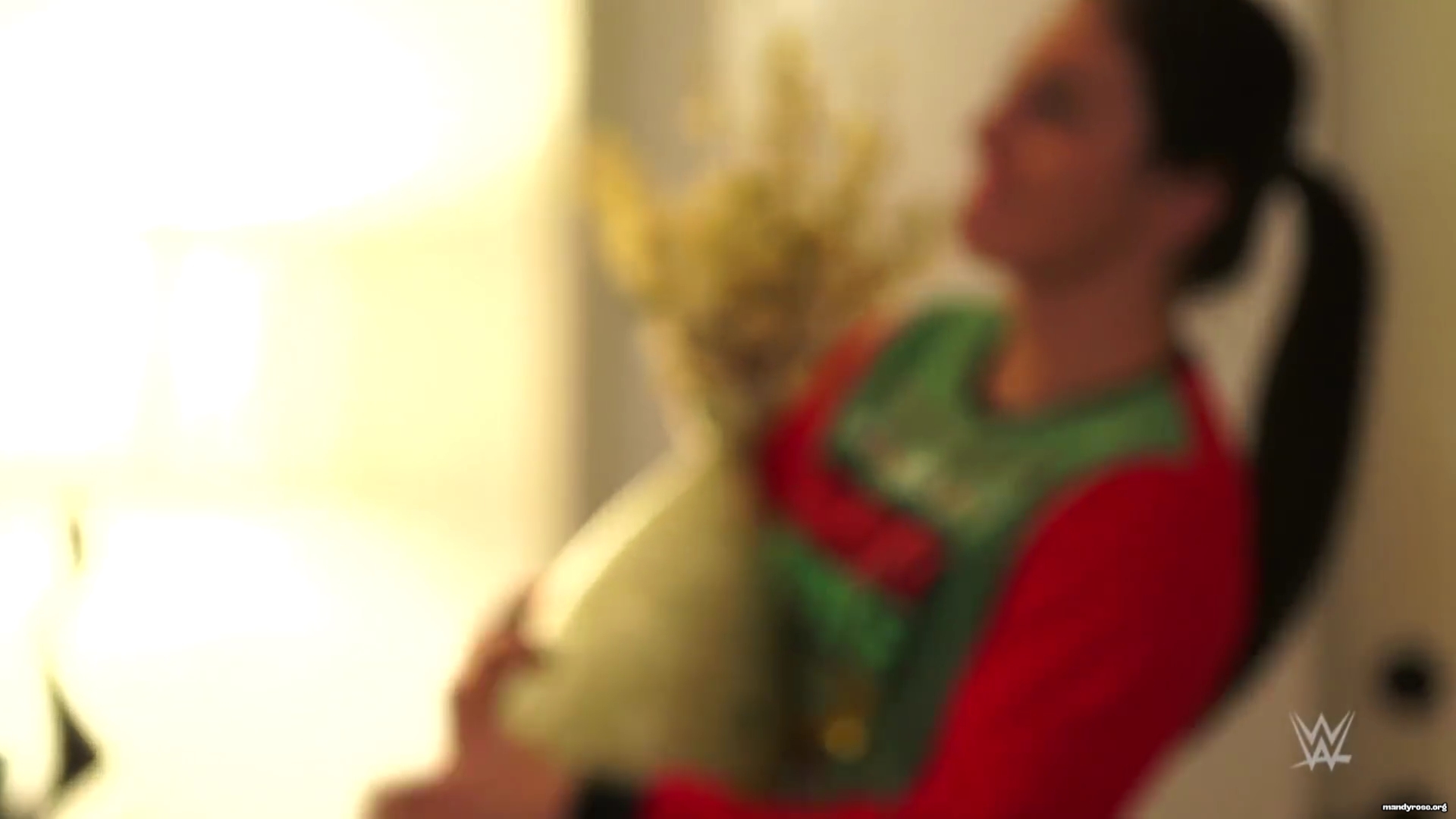 Mandy_Rose_and_Daria_Berenato_wish_you_a_very__Dandy__holiday_season_mp40091.jpg
