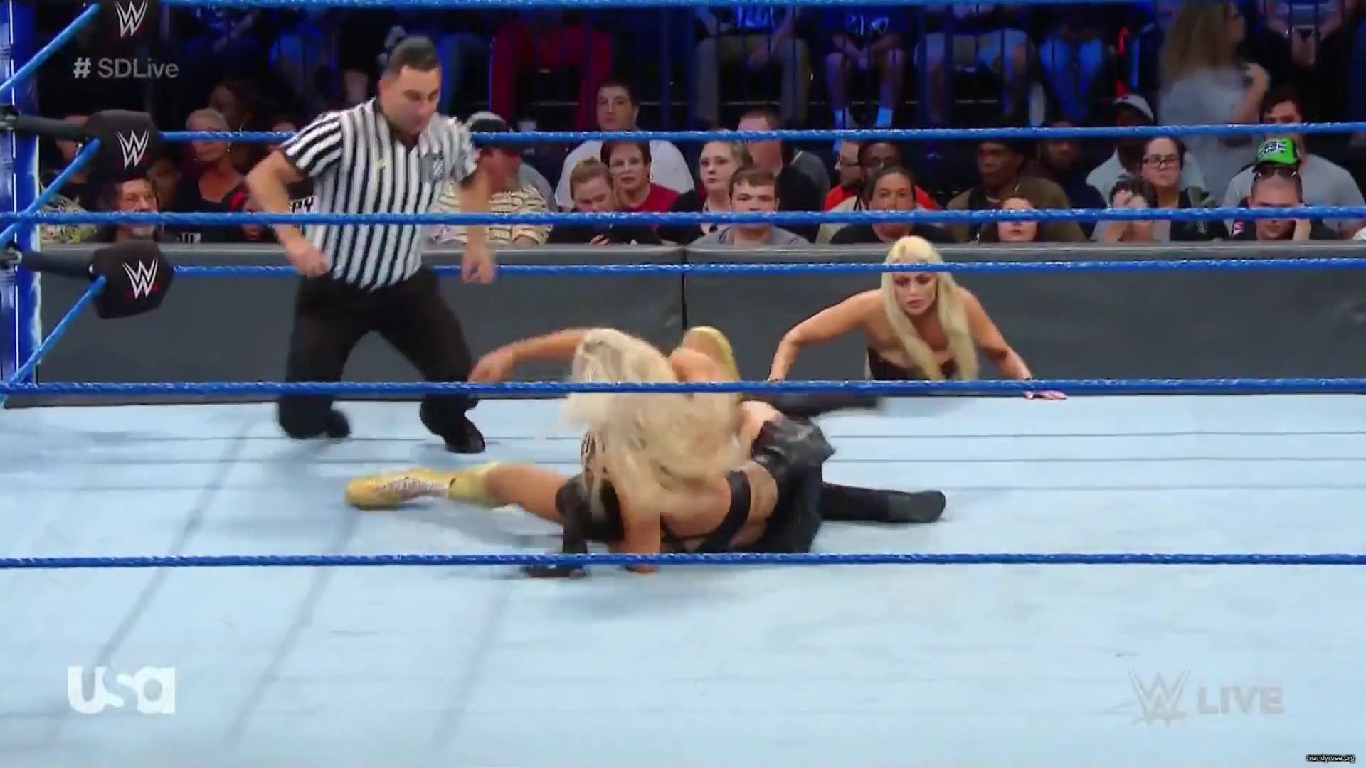 SDLive_part_1_mp40084.jpg