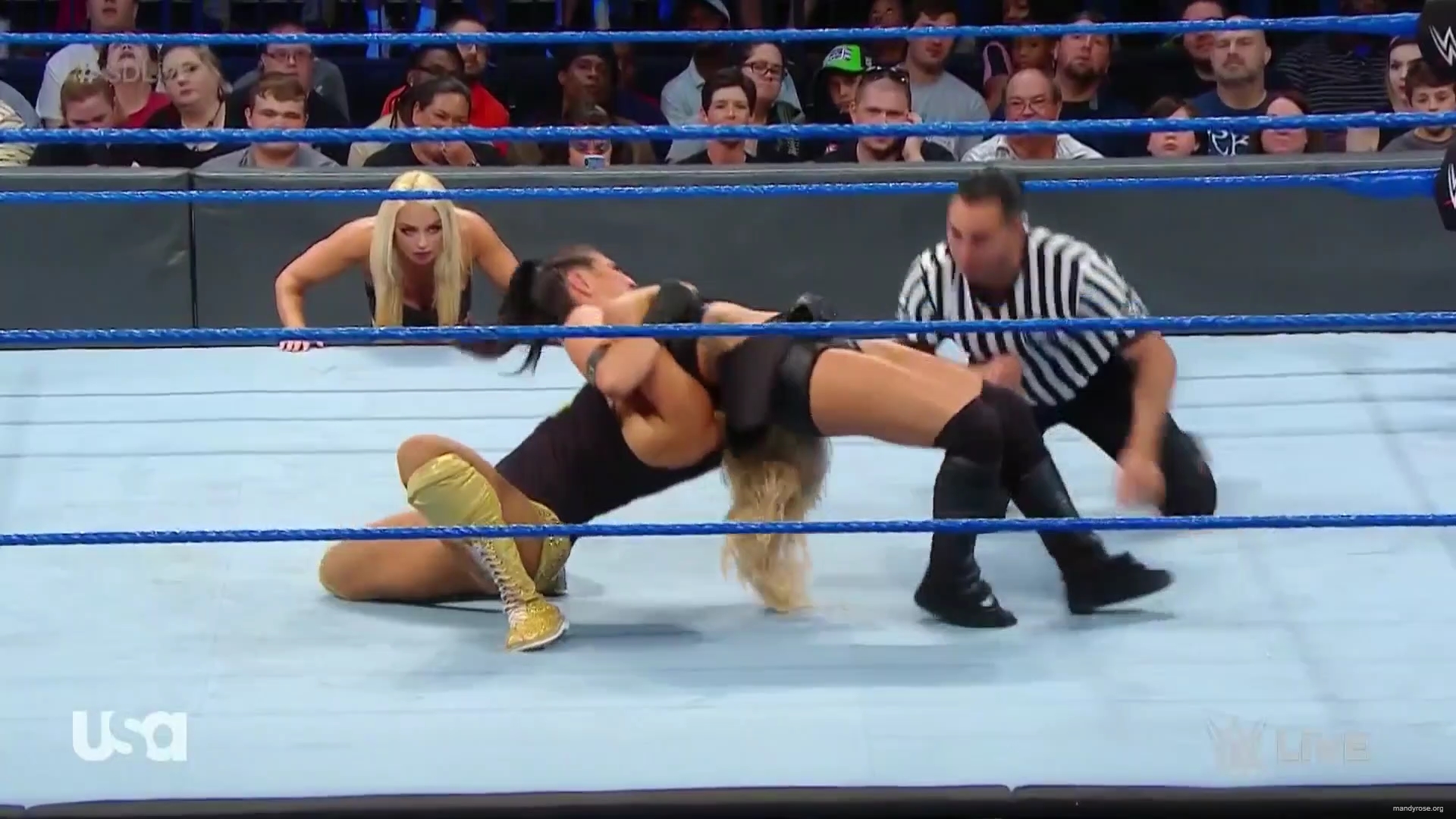 SDLive_part_1_mp40111.jpg