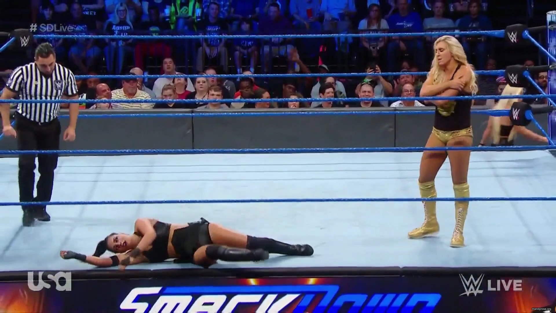 SDLive_part_1_mp40198.jpg