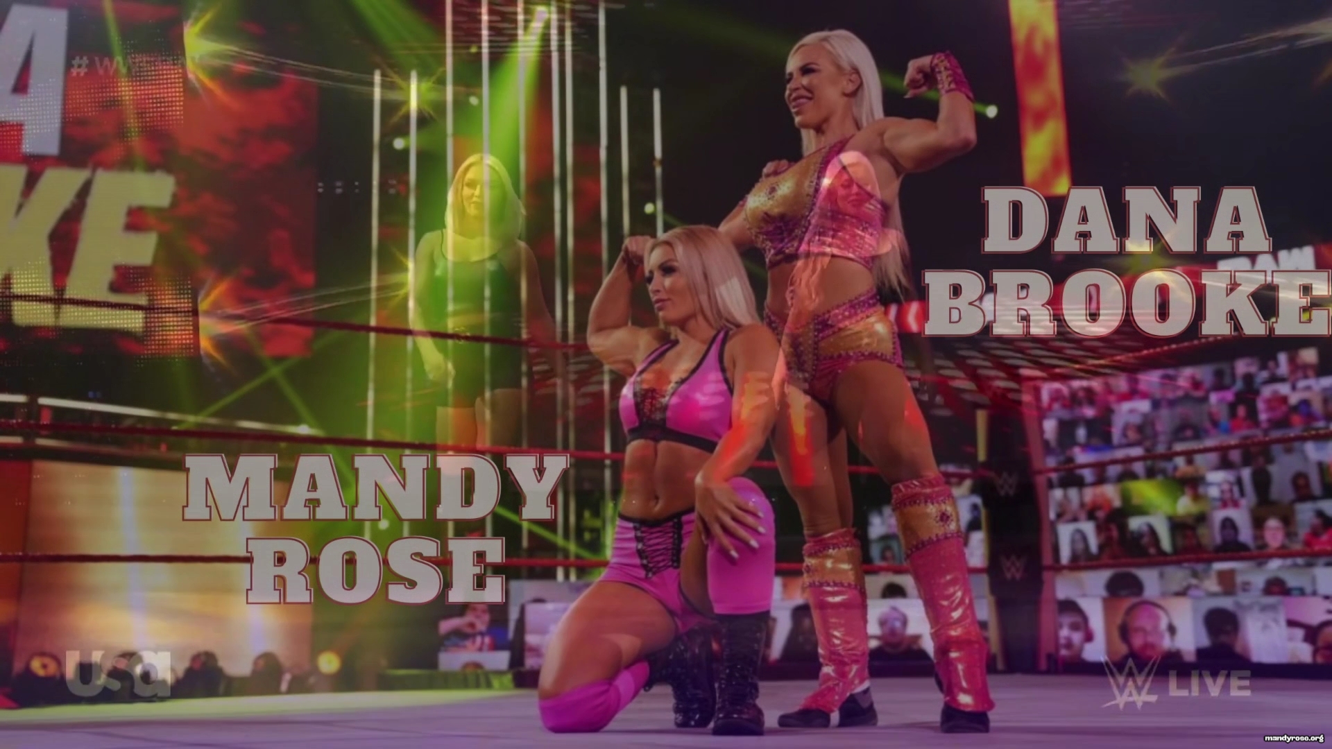 WWE_Chasing_Glory_with_Lilian_Garcia_E09_Mandy_Rose_and_Dana_Brooke_1080p_WEB_h264-HEEL_mp40255.jpg