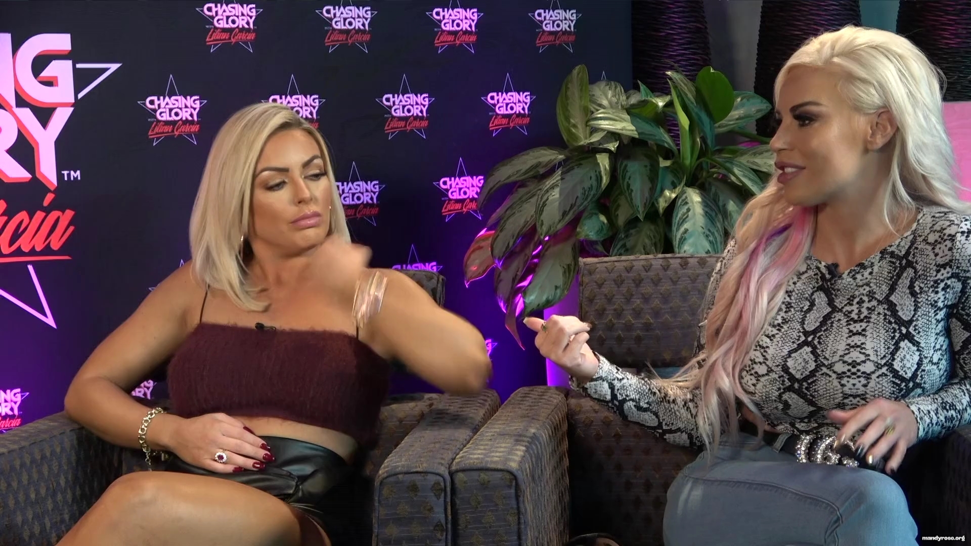 WWE_Chasing_Glory_with_Lilian_Garcia_E09_Mandy_Rose_and_Dana_Brooke_1080p_WEB_h264-HEEL_mp42003.jpg