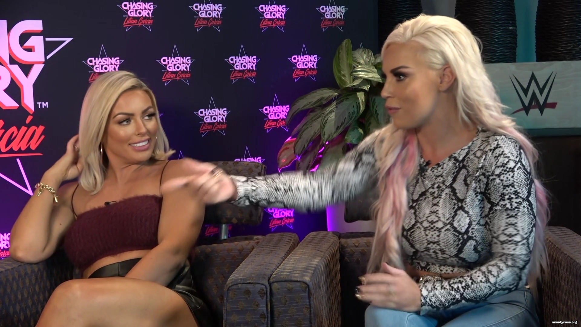 WWE_Chasing_Glory_with_Lilian_Garcia_E09_Mandy_Rose_and_Dana_Brooke_1080p_WEB_h264-HEEL_mp44803.jpg