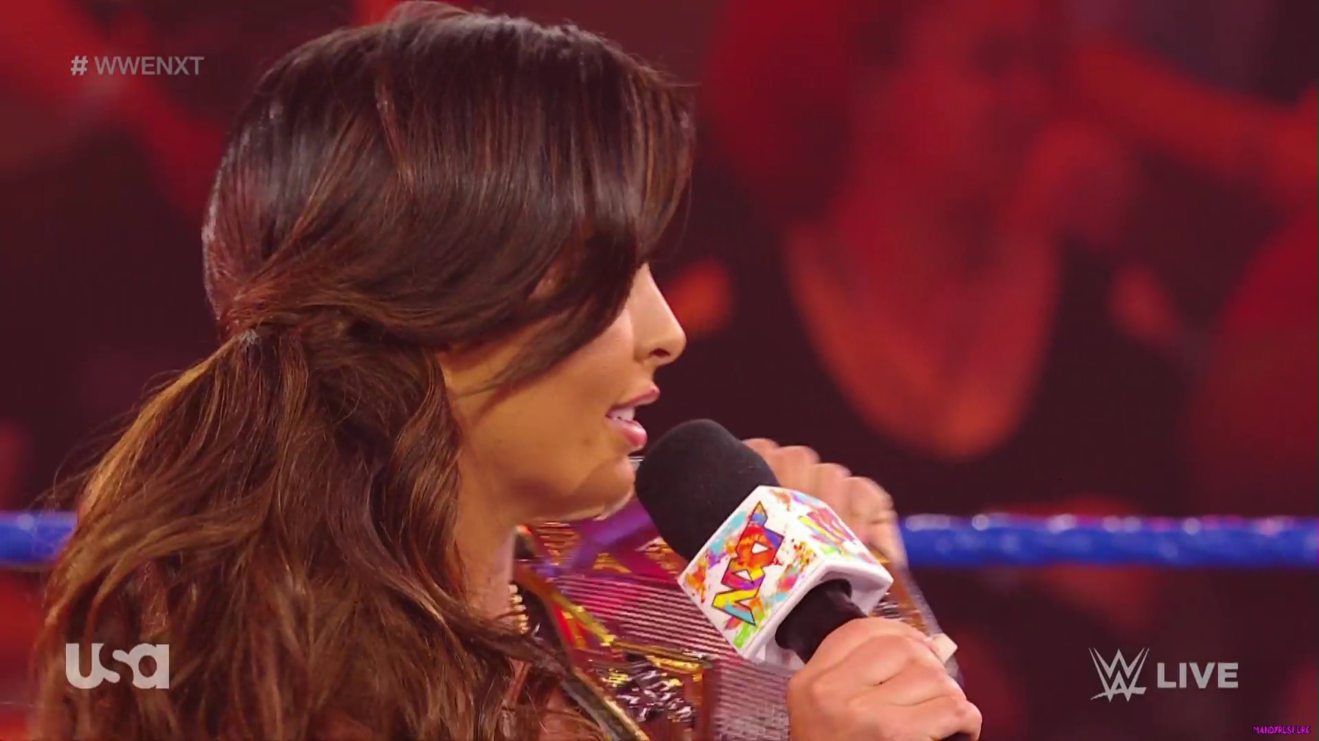 WWE_NXT_2022_03_29_USAN_1080p_WEB_h264-HEEL_mkv0562.jpg