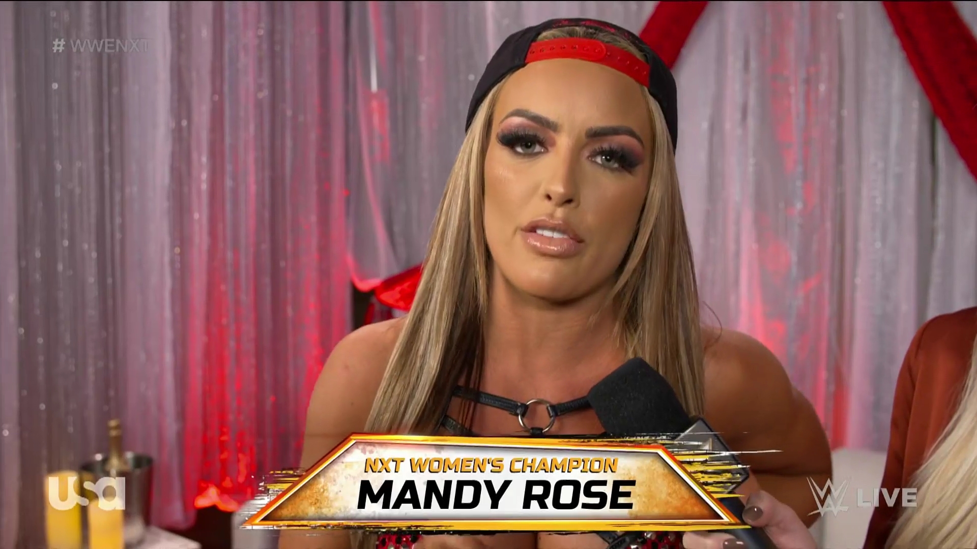 WWE_NXT_2022_11_15_USAN_1080p_WEB_h264-HEEL5Beztv_re5D_mkv0025.jpg