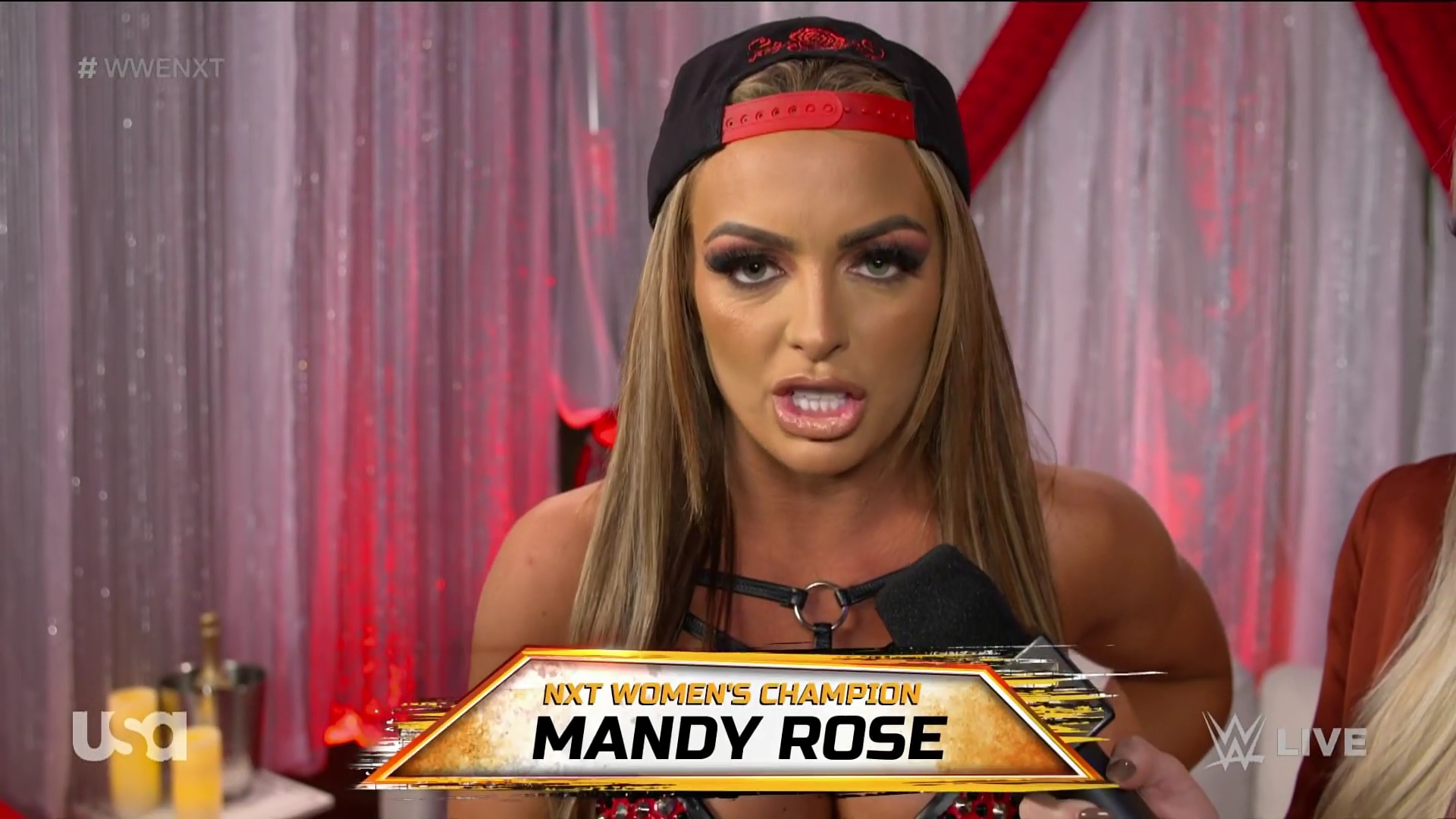WWE_NXT_2022_11_15_USAN_1080p_WEB_h264-HEEL5Beztv_re5D_mkv0026.jpg