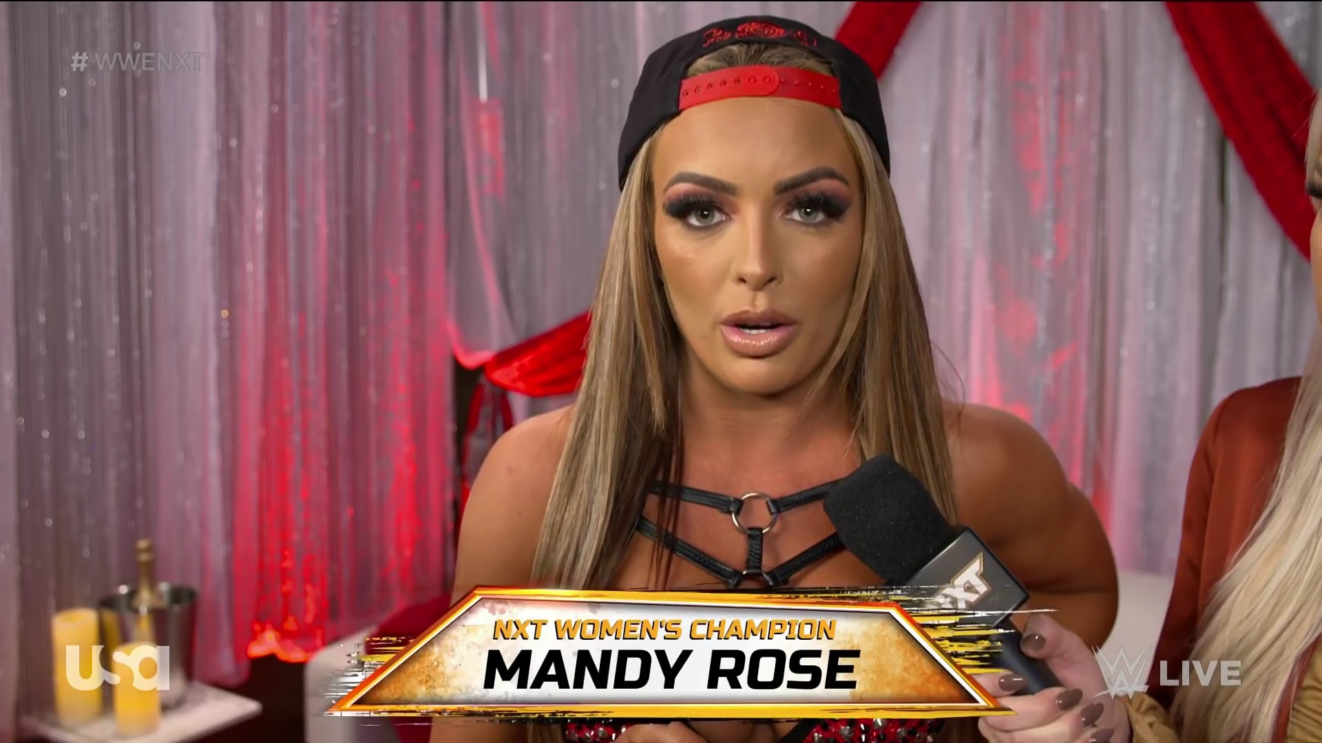 WWE_NXT_2022_11_15_USAN_1080p_WEB_h264-HEEL5Beztv_re5D_mkv0027.jpg