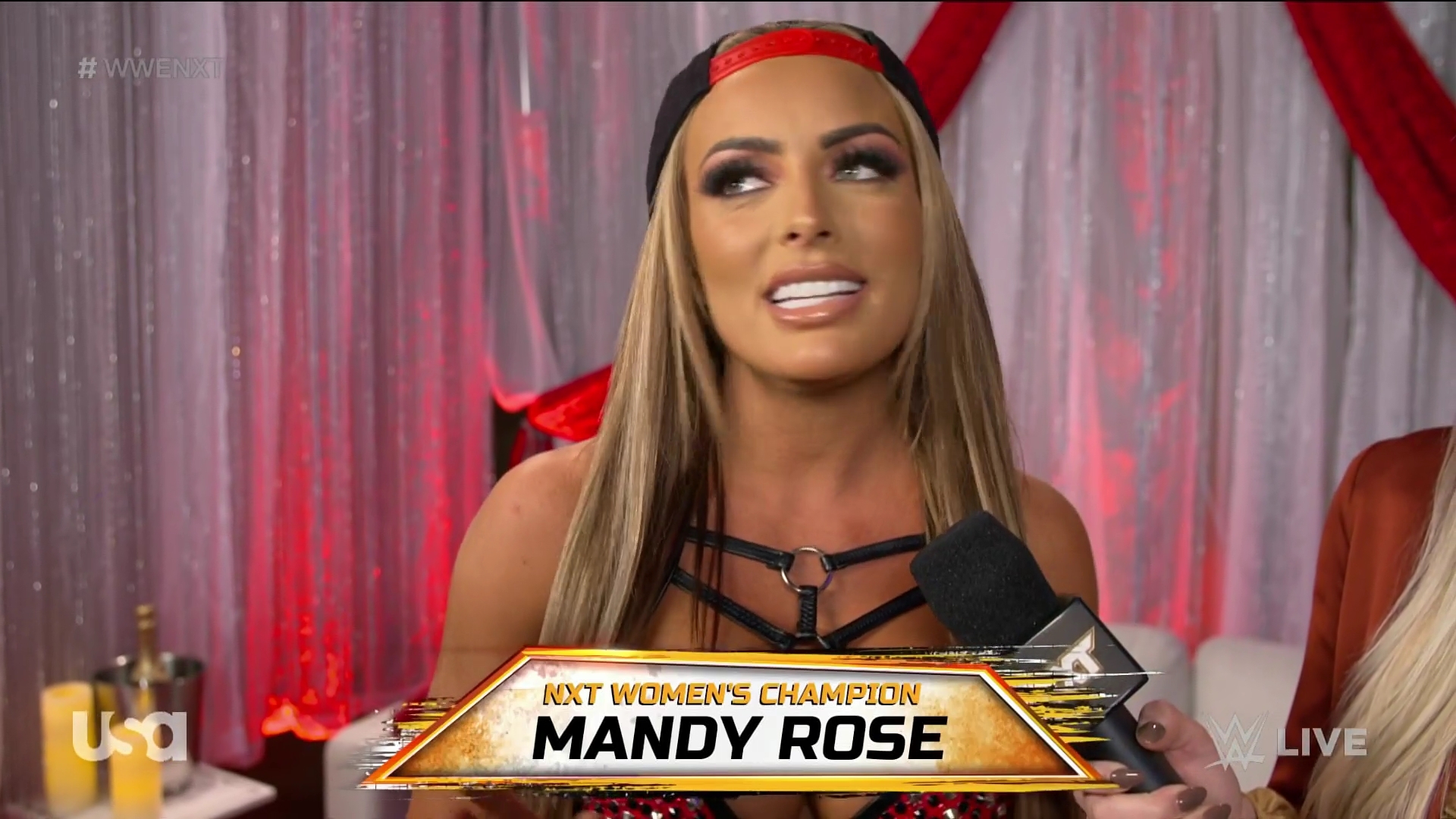 WWE_NXT_2022_11_15_USAN_1080p_WEB_h264-HEEL5Beztv_re5D_mkv0028.jpg