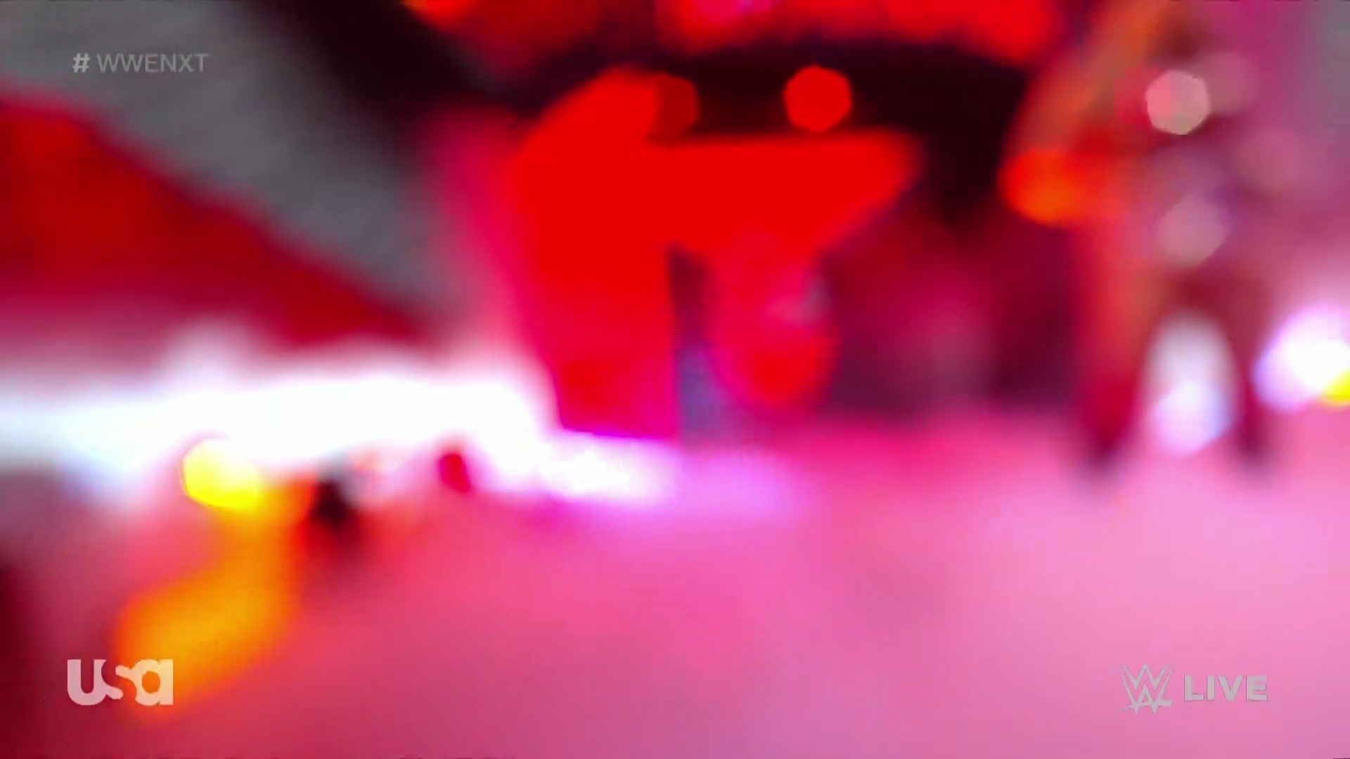 WWE_NXT_2022_11_15_USAN_1080p_WEB_h264-HEEL5Beztv_re5D_mkv0105.jpg