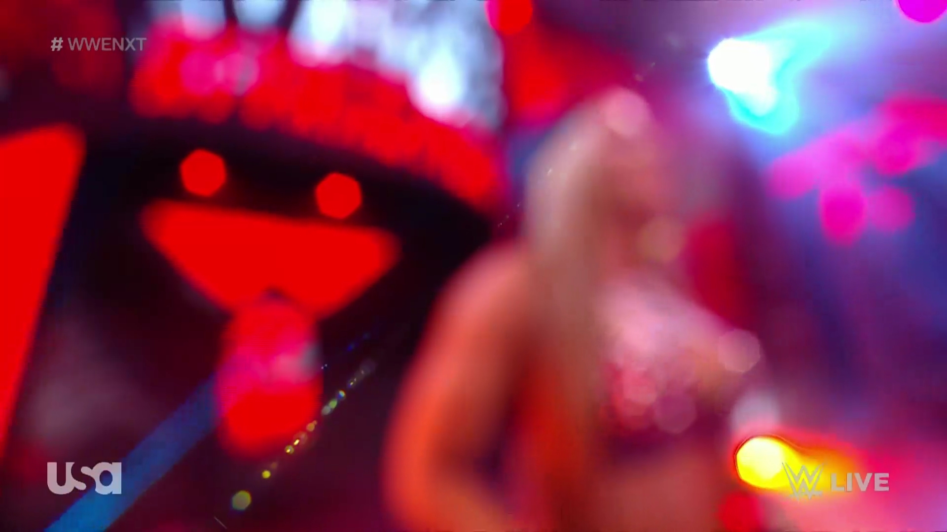 WWE_NXT_2022_11_15_USAN_1080p_WEB_h264-HEEL5Beztv_re5D_mkv0109.jpg