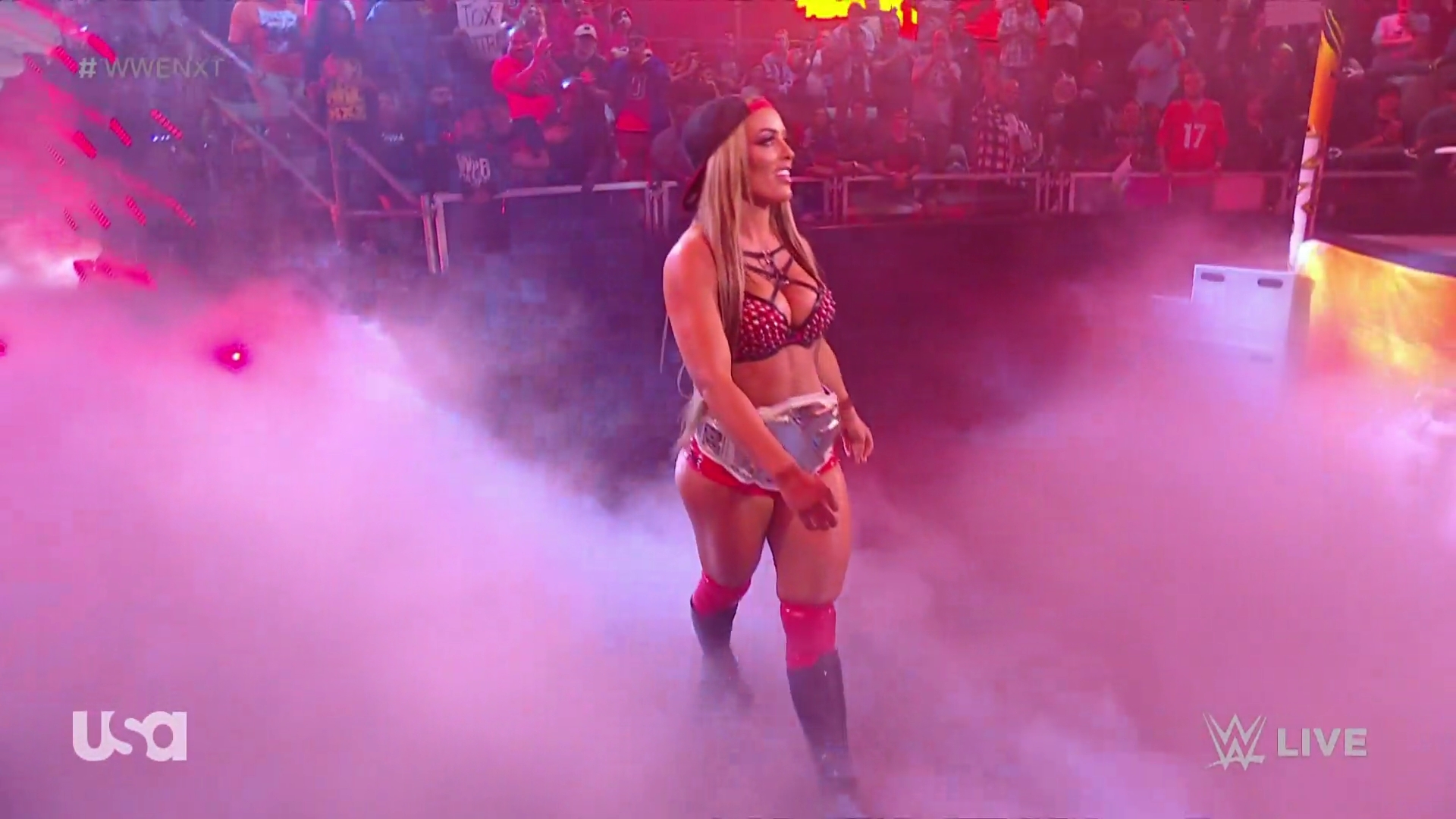 WWE_NXT_2022_11_15_USAN_1080p_WEB_h264-HEEL5Beztv_re5D_mkv0127.jpg