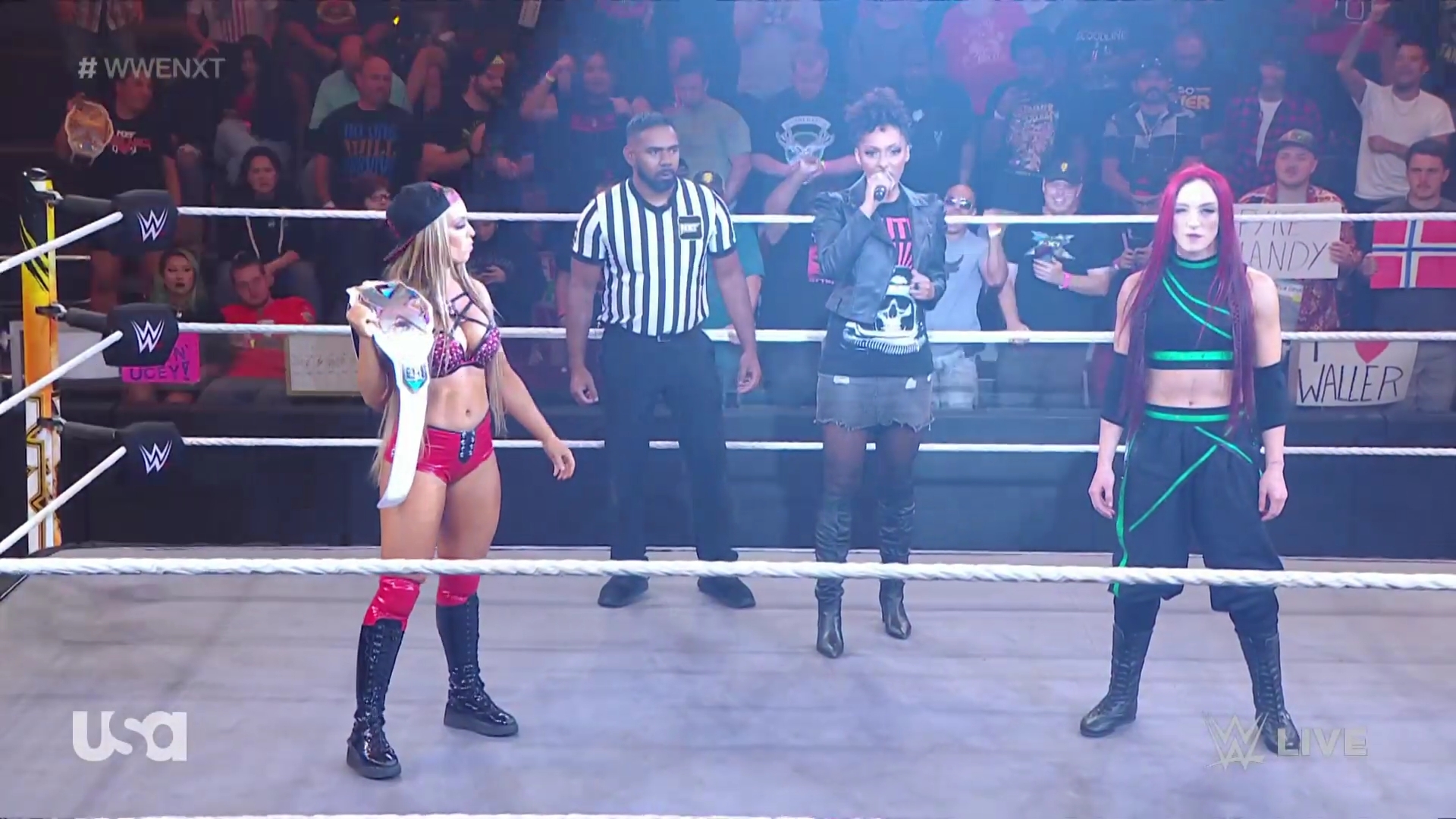 WWE_NXT_2022_11_15_USAN_1080p_WEB_h264-HEEL5Beztv_re5D_mkv0175.jpg