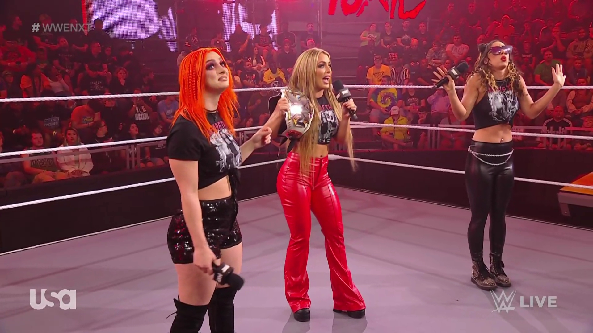 WWE_NXT_2022_11_22_USAN_1080p_WEB_h264-HEEL_mkv0160.jpg