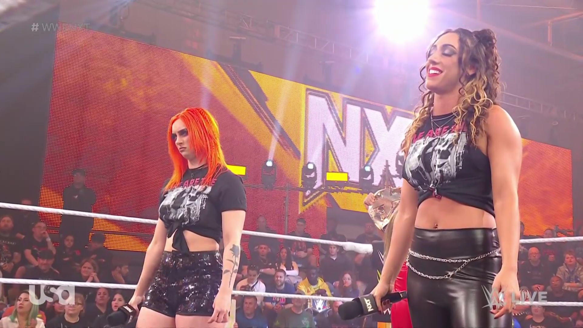 WWE_NXT_2022_11_22_USAN_1080p_WEB_h264-HEEL_mkv0351.jpg