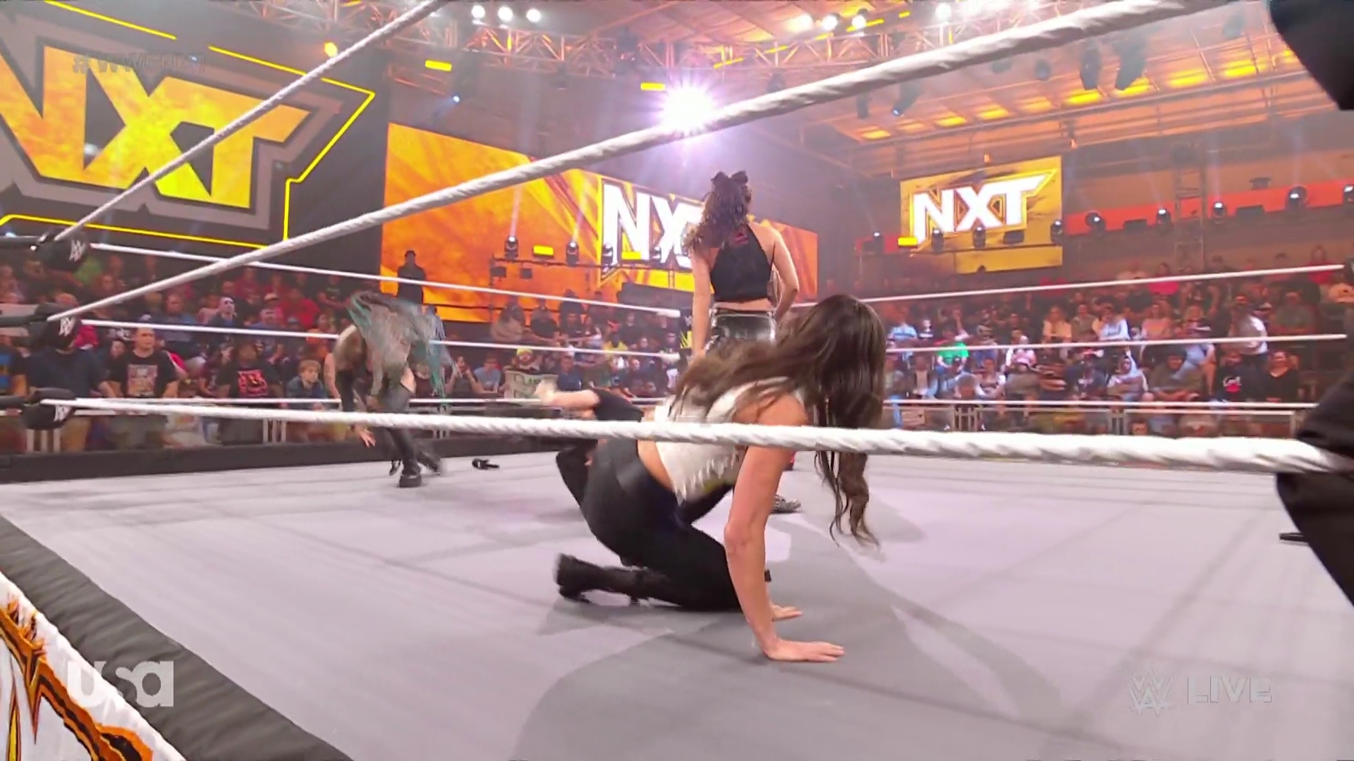 WWE_NXT_2022_11_22_USAN_1080p_WEB_h264-HEEL_mkv0395.jpg