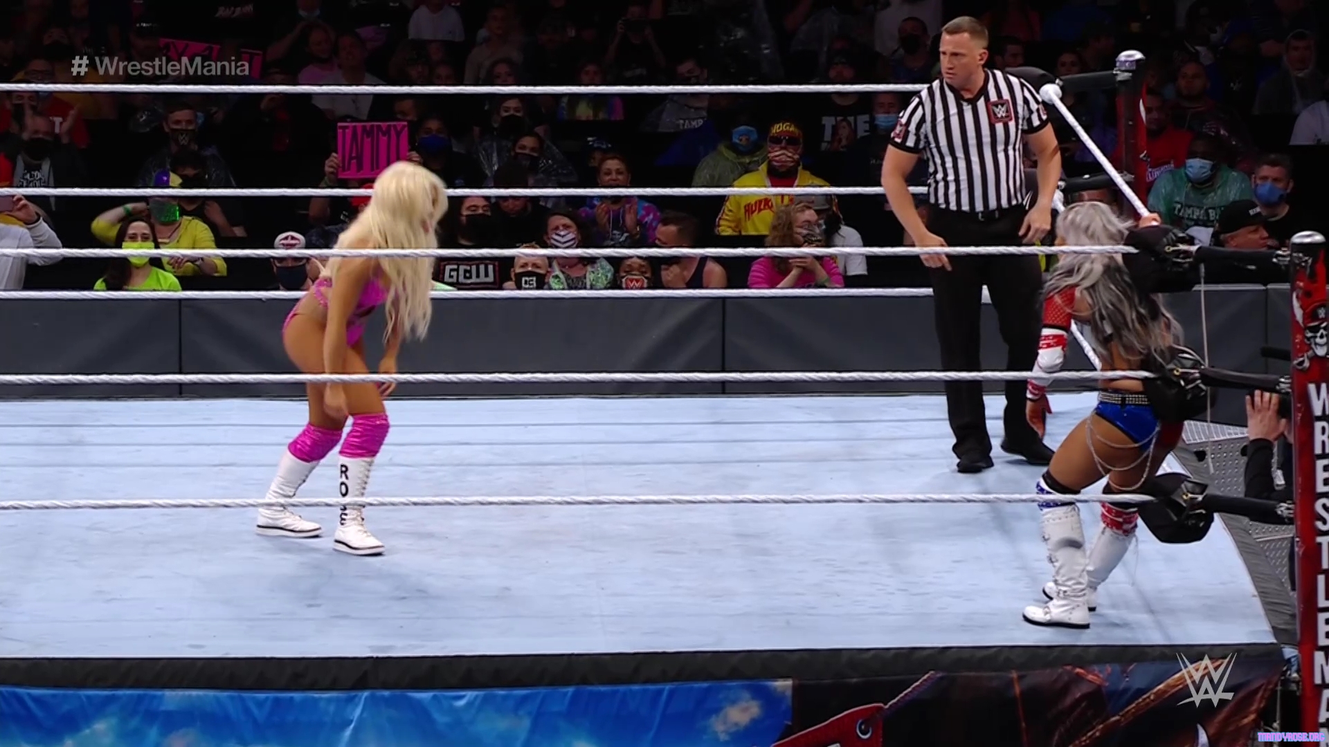 WWE_Wrestlemania_37_Day1_HDTV_1080p_x264-SkY_mp40382.jpg