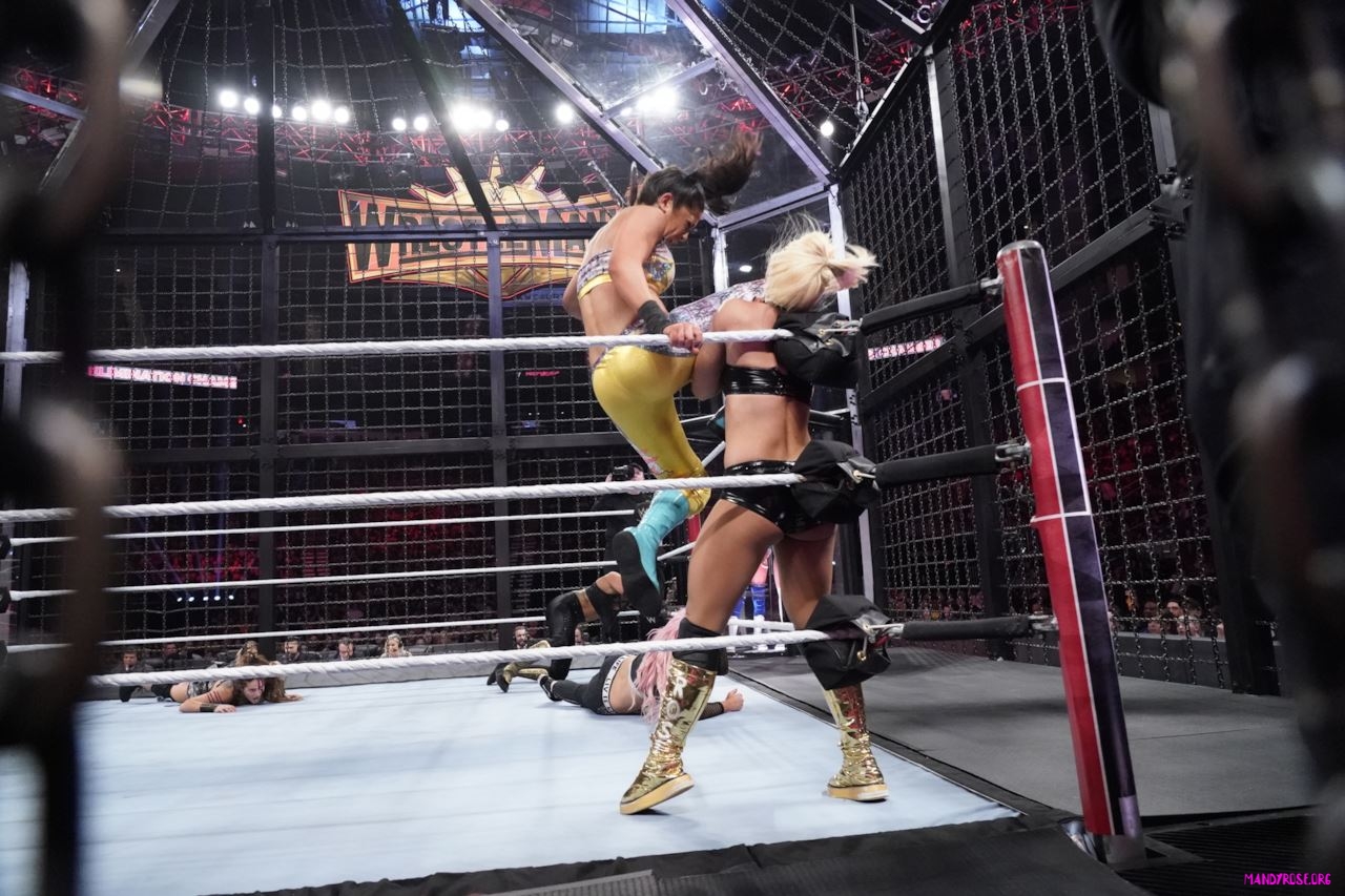 elimination-chamber-2019-wwe-women-s-tag-team-championship-3-maxw-1280.jpg