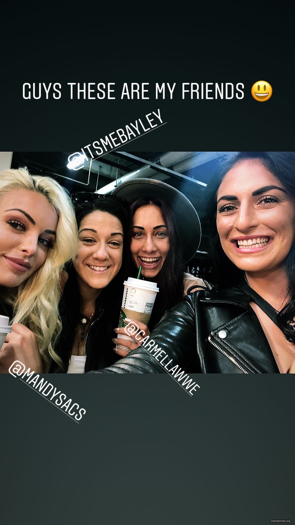 sonyadevillewwe_41718236_508670559600214_7501237488153556188_n.jpg