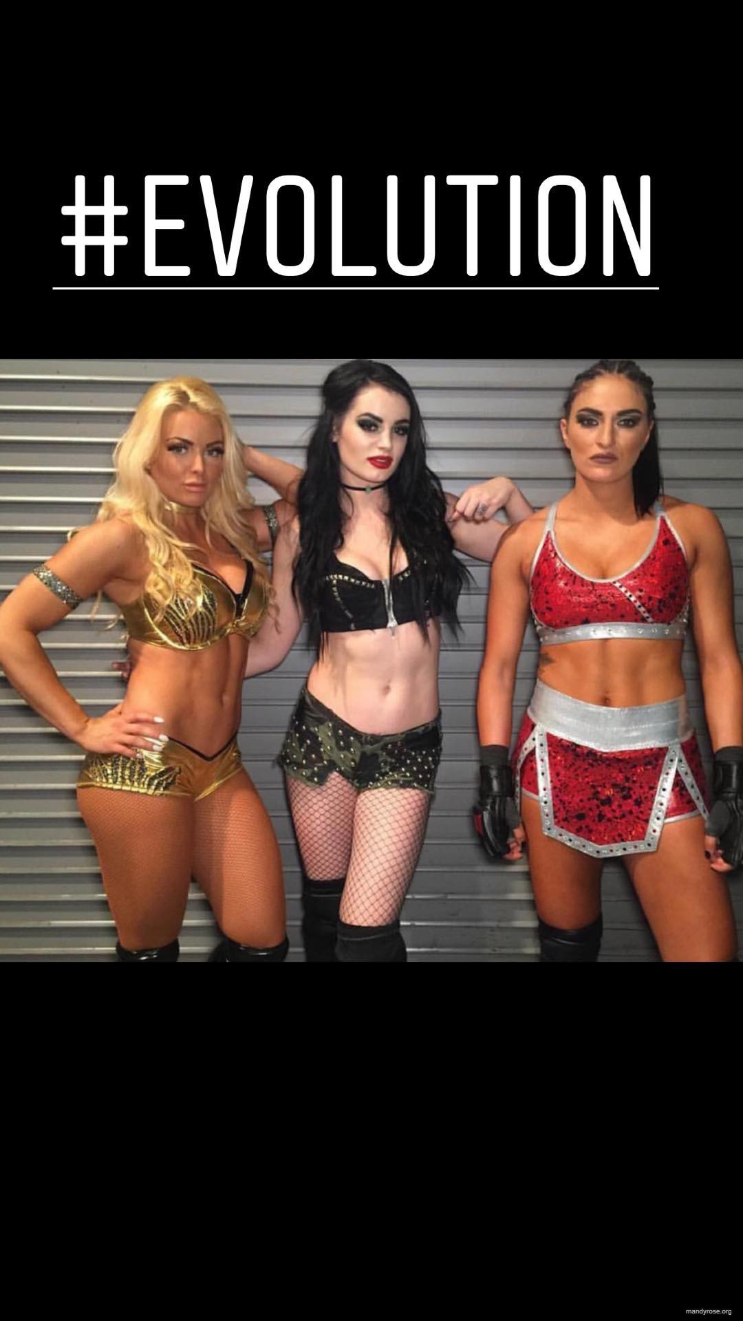 sonyadevillewwe_42069066_170619957214549_2873814642334906952_n.jpg