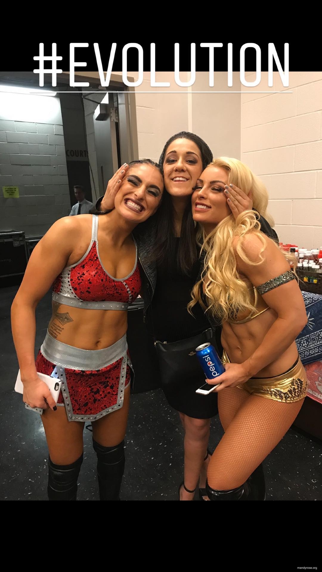 sonyadevillewwe_44228076_318576028728195_4119660640333359444_n.jpg