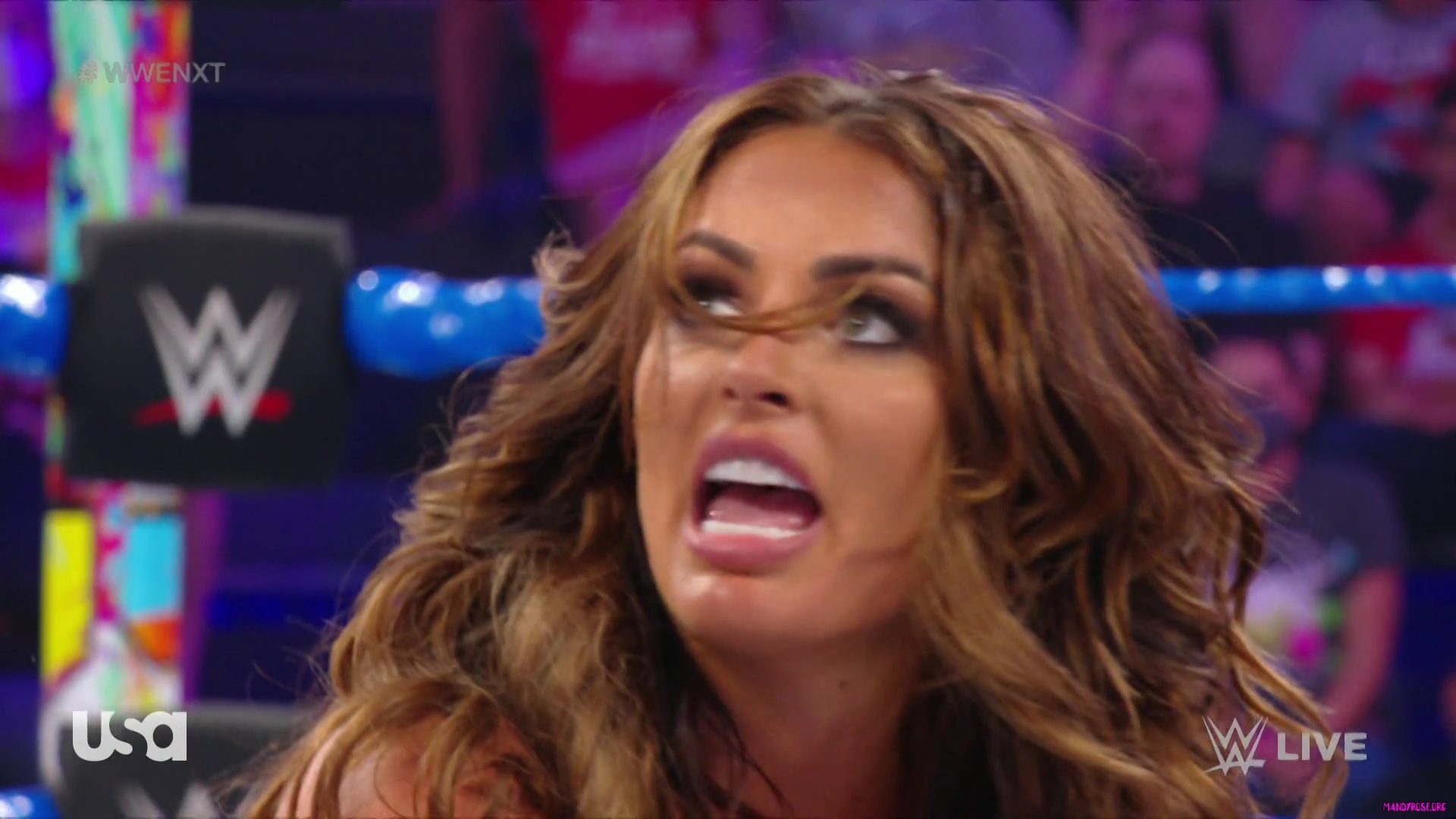 sportsnet-wwe_nxt_2022_08_02_1080p_web_h264_mkv0240.jpg