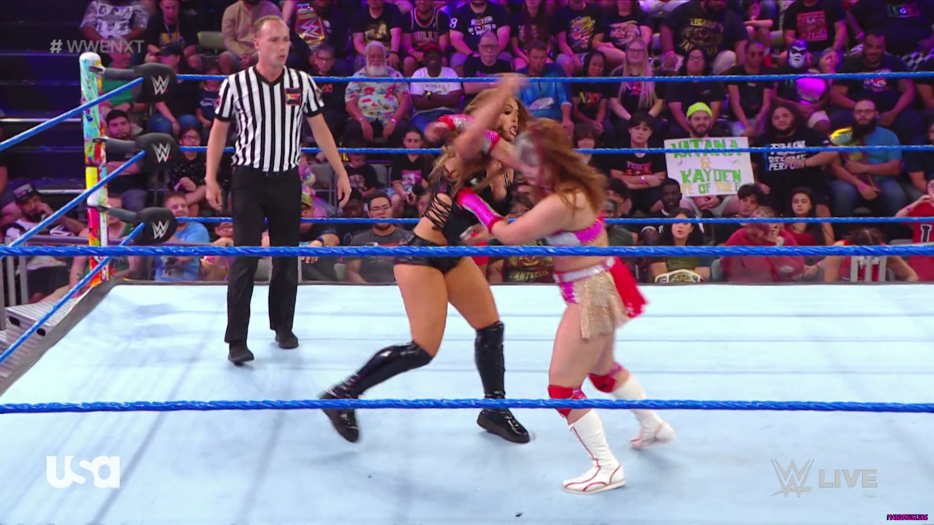 sportsnet-wwe_nxt_2022_08_02_1080p_web_h264_mkv0298.jpg
