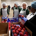 004_FOODBANK_11232019jg_0017.jpg