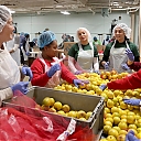 006_FOODBANK_11232019jg_0029.jpg