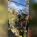 BIKINI_PHOTOSHOOT_BTS_WWE_Mandy_Rose_Sonya_Deville_Damandyz_Donutz_mp44884.jpg