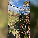 BIKINI_PHOTOSHOOT_BTS_WWE_Mandy_Rose_Sonya_Deville_Damandyz_Donutz_mp44885.jpg