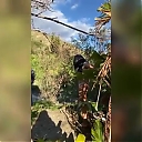 BIKINI_PHOTOSHOOT_BTS_WWE_Mandy_Rose_Sonya_Deville_Damandyz_Donutz_mp44887.jpg