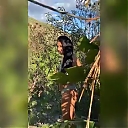 BIKINI_PHOTOSHOOT_BTS_WWE_Mandy_Rose_Sonya_Deville_Damandyz_Donutz_mp44891.jpg