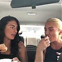 Episode_2_of_Dandy27s_donuts2121_The_Donut_Experience_in_Greenville_SC_mp40100.jpg