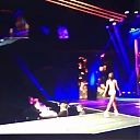 Mandys_Strut_WBFF_Worlds_2014_mp40004.jpg