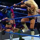 SDLive2_mp40133.jpg