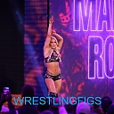 WWE-Royal-Rumble-1-28-18-1331.jpg