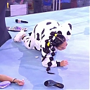 WWE_NXT_2022_05_31_USAN_1080p_WEB_h264-HEEL_mkv0360.jpg
