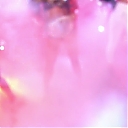 WWE_NXT_2022_09_27_USAN_1080p_WEB_h264-HEEL_mkv0052.jpg