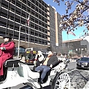 WWE_Ride_Along_S05E02_Love_and_Smoke_720p_Hi_WEB_h264-HEEL_mp40841.jpg