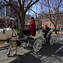 WWE_Ride_Along_S05E02_Love_and_Smoke_720p_Hi_WEB_h264-HEEL_mp41069.jpg