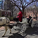 WWE_Ride_Along_S05E02_Love_and_Smoke_720p_Hi_WEB_h264-HEEL_mp41071.jpg