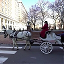 WWE_Ride_Along_S05E02_Love_and_Smoke_720p_Hi_WEB_h264-HEEL_mp41090.jpg