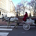 WWE_Ride_Along_S05E02_Love_and_Smoke_720p_Hi_WEB_h264-HEEL_mp41091.jpg