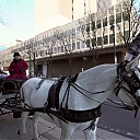 WWE_Ride_Along_S05E02_Love_and_Smoke_720p_Hi_WEB_h264-HEEL_mp41188.jpg