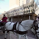 WWE_Ride_Along_S05E02_Love_and_Smoke_720p_Hi_WEB_h264-HEEL_mp41189.jpg