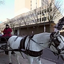 WWE_Ride_Along_S05E02_Love_and_Smoke_720p_Hi_WEB_h264-HEEL_mp41190.jpg