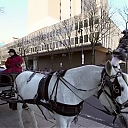 WWE_Ride_Along_S05E02_Love_and_Smoke_720p_Hi_WEB_h264-HEEL_mp41191.jpg