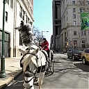 WWE_Ride_Along_S05E02_Love_and_Smoke_720p_Hi_WEB_h264-HEEL_mp41209.jpg
