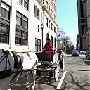 WWE_Ride_Along_S05E02_Love_and_Smoke_720p_Hi_WEB_h264-HEEL_mp41213.jpg