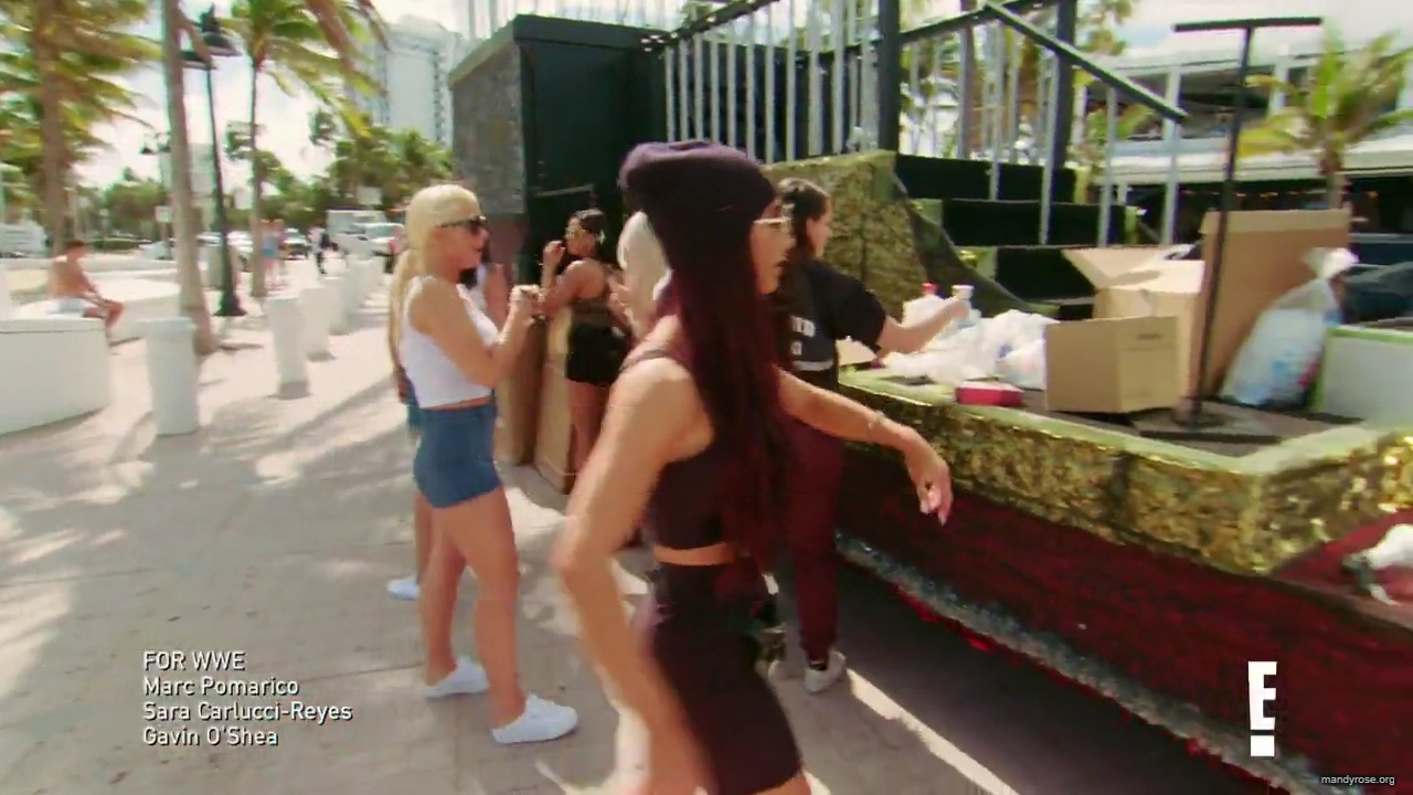 total_divas_s09e02_720p_mp40170.jpg